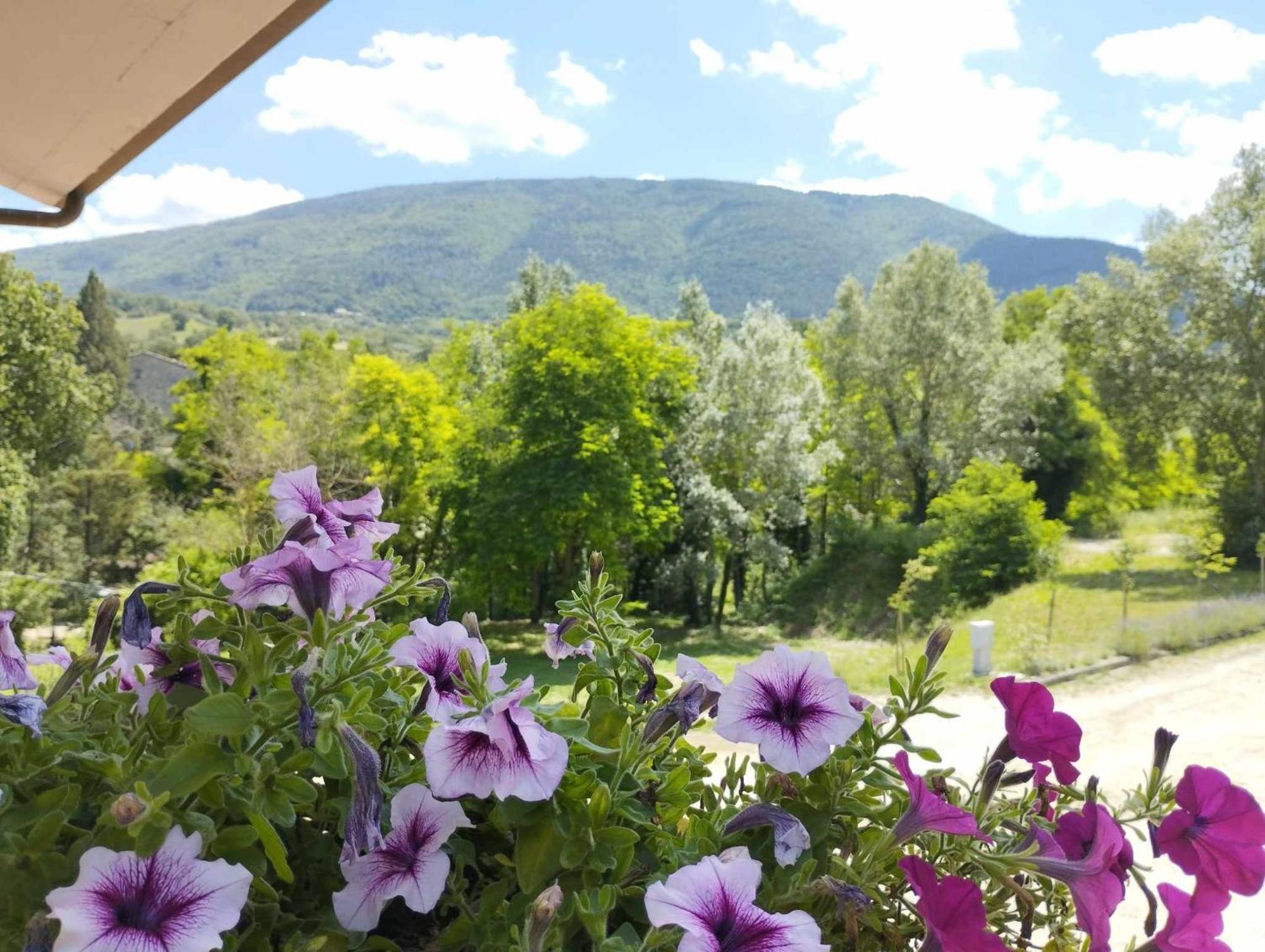 Pianpieve Nature & Relax Apartments Assisi Exterior foto