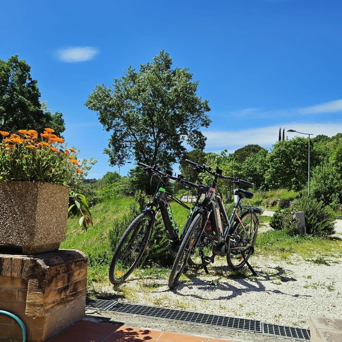 Pianpieve Nature & Relax Apartments Assisi Exterior foto